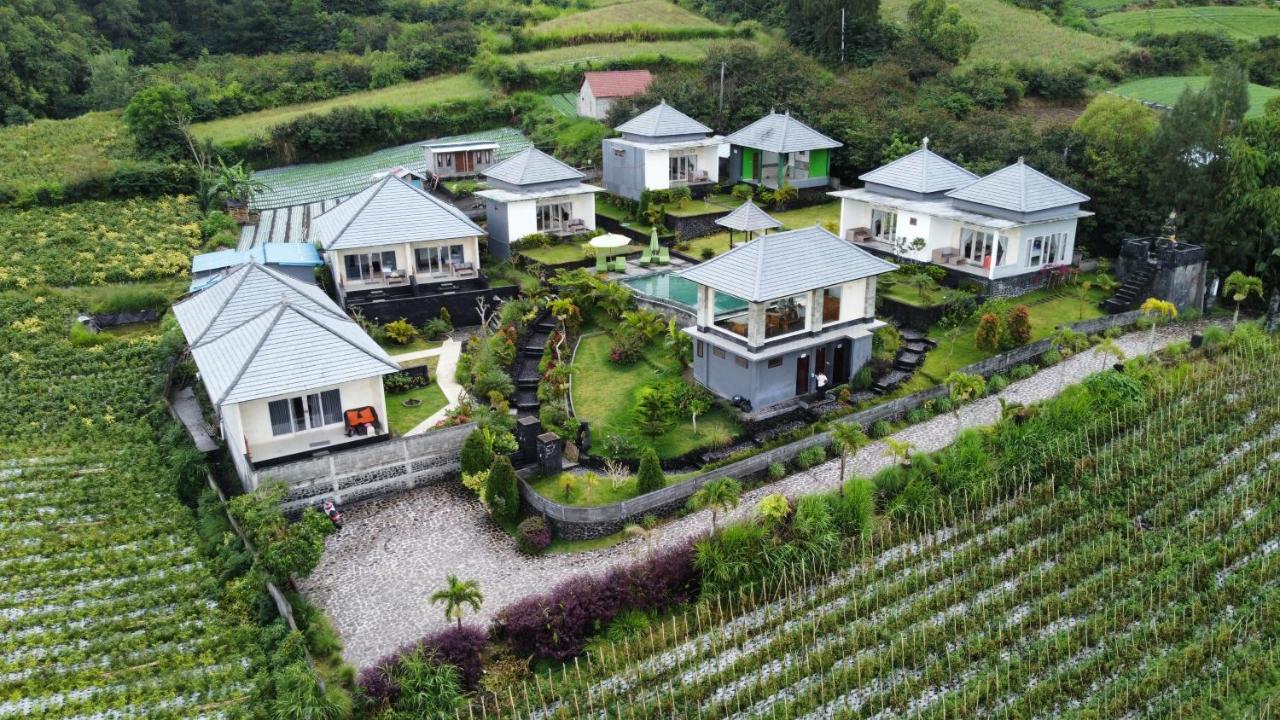Batur Green Hill And Hot Spring Kintamani المظهر الخارجي الصورة