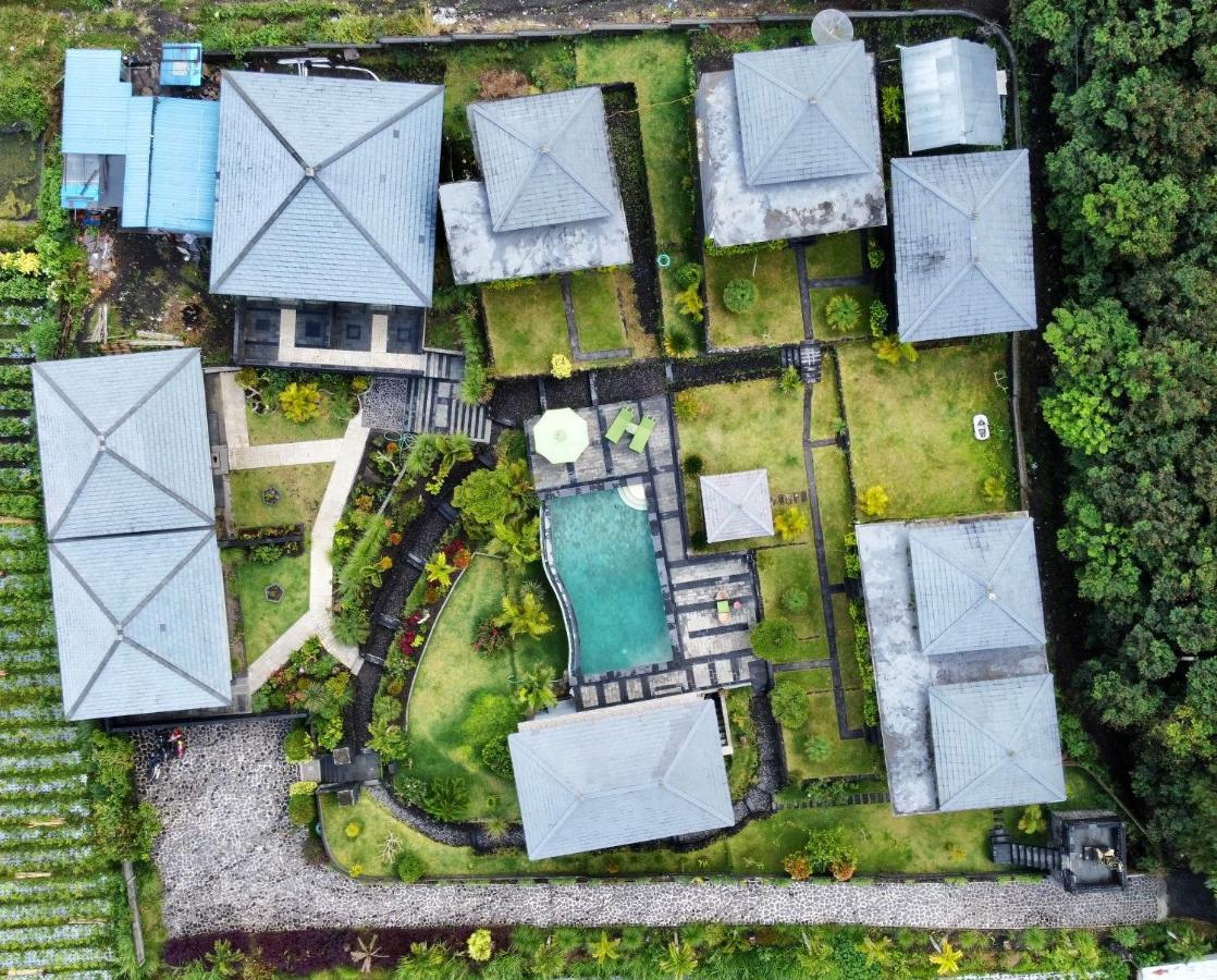Batur Green Hill And Hot Spring Kintamani المظهر الخارجي الصورة