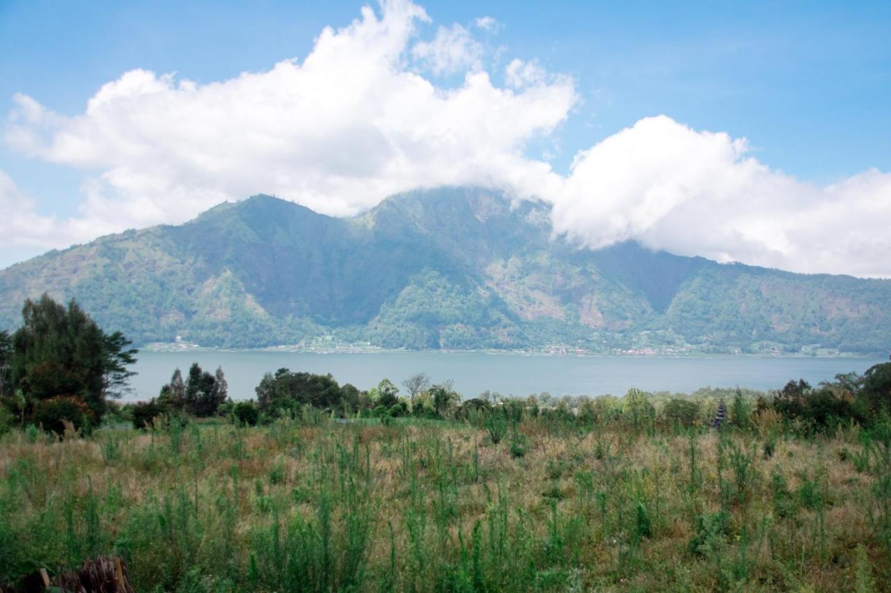 Batur Green Hill And Hot Spring Kintamani المظهر الخارجي الصورة